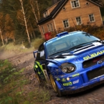 DiRT Rally: Screenshot