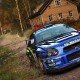 DiRT Rally: Screenshot