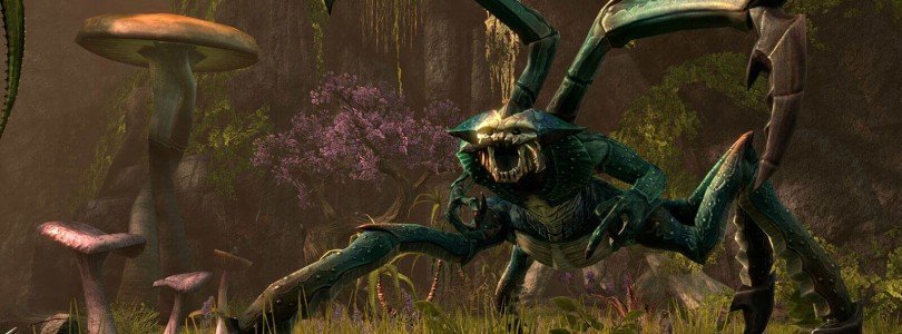 The Elder Scrolls Online: Screenshot