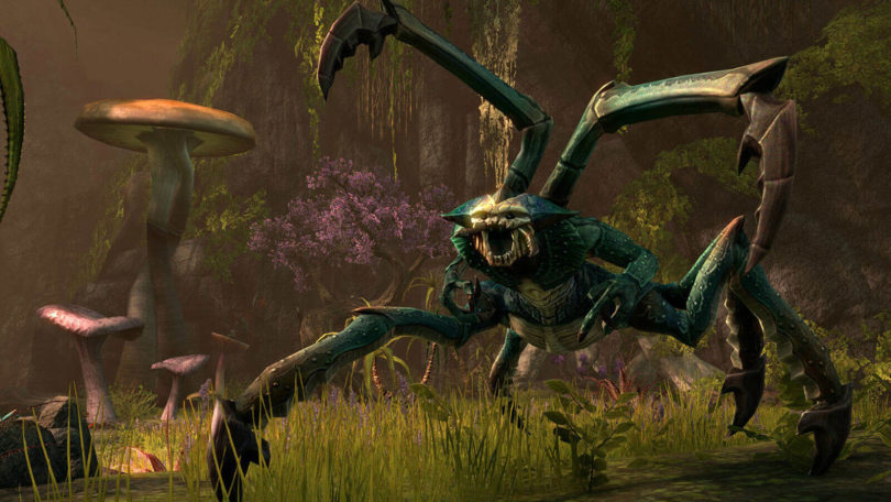 The Elder Scrolls Online: Screenshot