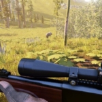 Hunting Simulator: News