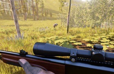 Hunting Simulator: News