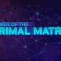 WildStar: Primal Matrix