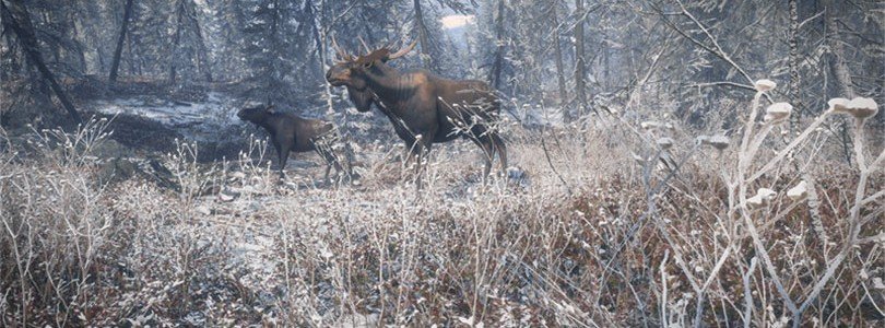 theHunter: Call of the Wild – neues Winterjagdgebiet sorgt schon bald für neue Herausforderungen