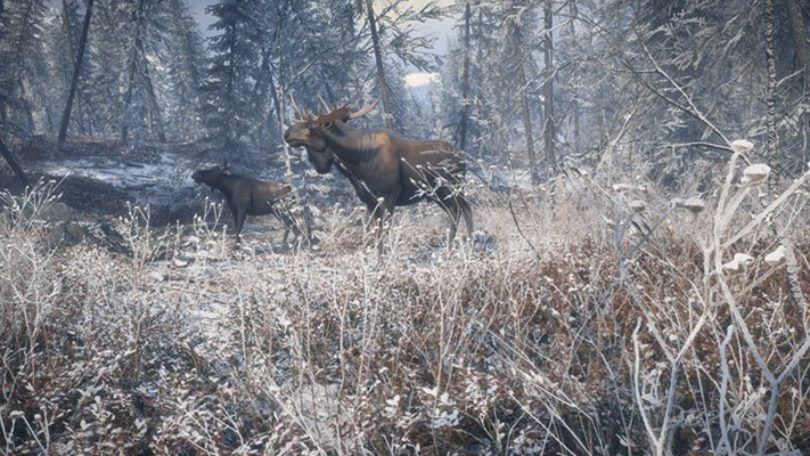 theHunter: Call of the Wild – neues Winterjagdgebiet sorgt schon bald für neue Herausforderungen