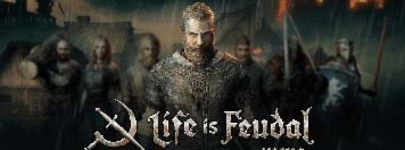 Life is Feudal: MMO - Cover