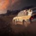 DiRT Rally 2.0: News