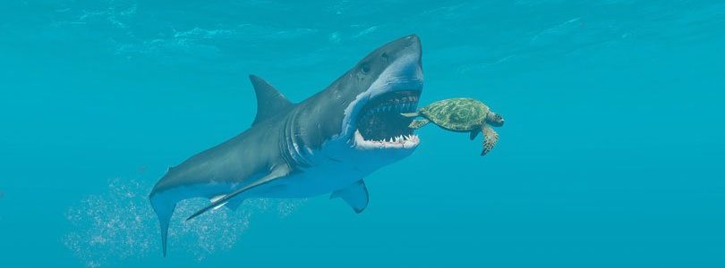 Stranded Deep: Shark Vs Turtle