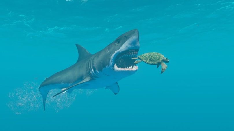 Stranded Deep: Shark Vs Turtle