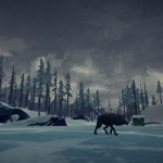 The Long Dark: Screenshot