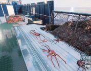 Fishing: Barents Sea - King Crab