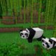 Minecraft: Panda