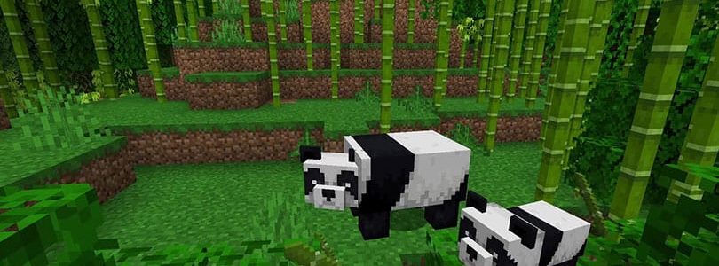 Minecraft: Panda