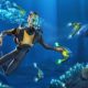 Subnautica: News