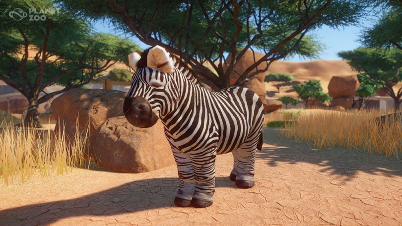 Planet Zoo: Frohes Fest mit Luftballons und wilden Herzen