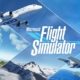 Microsoft Flight Simulator