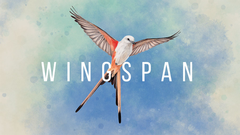 Wingspan: auf Steam erschienen