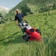 Landwirtschafts-Simulator 19: Alpine Landwirtschaft-Add-On – Neuer Trailer bringt frische Alpenluft auf die heimischen Monitore