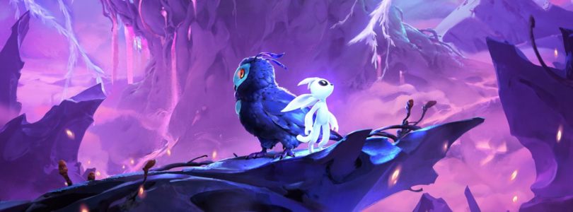 Ori And The Will Of The Wisps | Test (Switch)