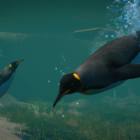 Planet Zoo: sorgt mit dem Aquatic Pack für Wasserspaß