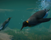 Planet Zoo: Aquatik-Paket und Update 1.4 jetzt erhältlich!