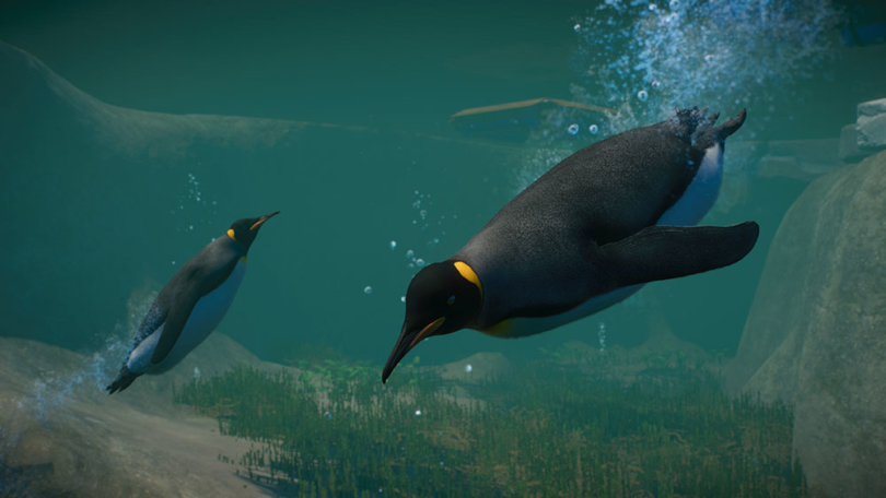 Planet Zoo: sorgt mit dem Aquatic Pack für Wasserspaß