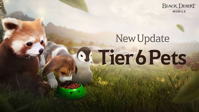 Black Desert Mobile: erhält Rang 6-Pets und weitere Inhalte im ersten Update des Jahres