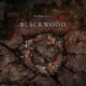 The Elder Scrolls Online: Mittjahrgemetzel & Blackwood-Soundtrack