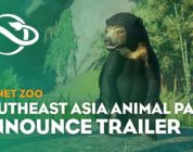 Planet Zoo: Das Southeast Asia Pack erweitert das Hauptspiel um faszinierende große und kleine Lebewesen