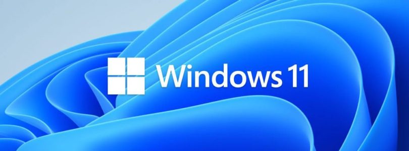 Windows 11: Logo