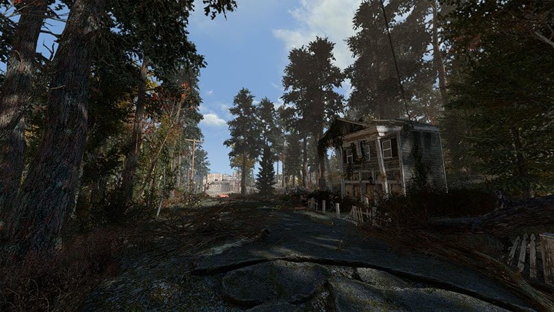 Fallout 4: Mod fügt dem Spiel rund 18000 zusätzliche Bäume hinzu