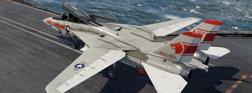 War Thunder: F-14