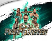 AEW: Fight Forever - Art