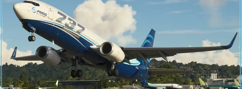 Microsoft Flight Simulator: PMDG 738