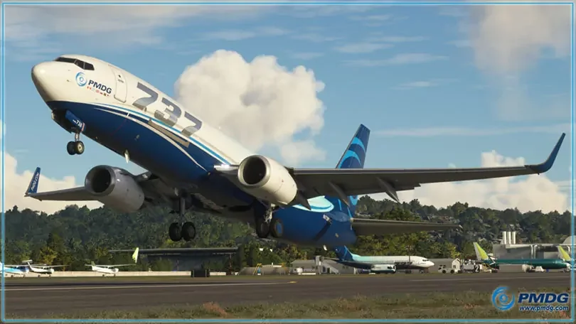 Microsoft Flight Simulator: PMDG 738