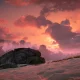 Horizon Forbidden West: Burning Shores - Screenshot