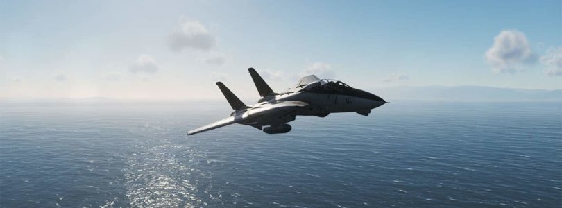 DCS World: F14 - Screenshot