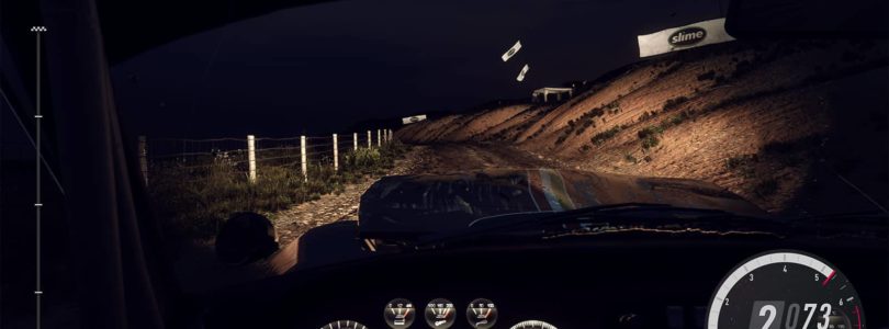 DiRT Rally 2.0: Screenshot