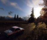 DiRT Rally 2.0: Cover