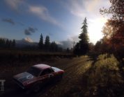 DiRT Rally 2.0: Screenshot