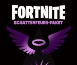 Fortnite: Cover