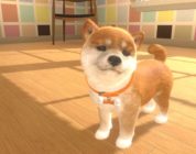 Little Friends: Dogs & Cats - Screenshot