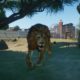 Planet Zoo im Test: der neue Genre-König!