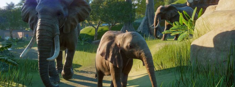 Planet Zoo: Screenshot