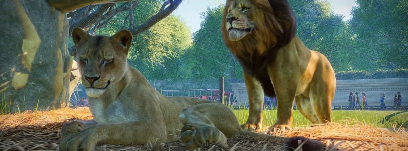 Planet Zoo: Screenshot