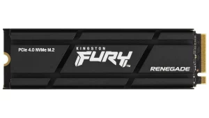 Kingston Fury Renegade: Bild