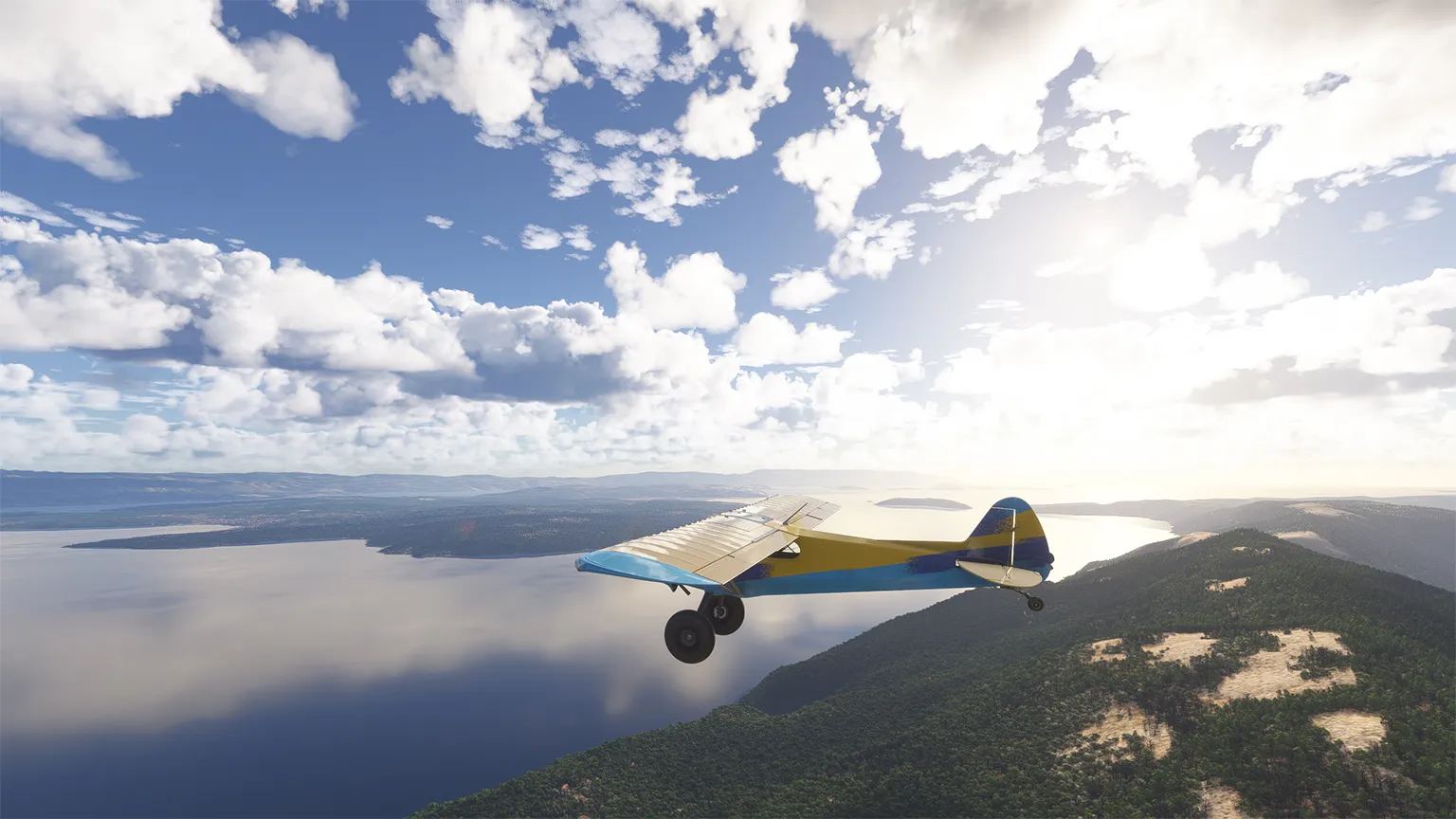 Microsoft Flight Simulator 2024: Screenshot